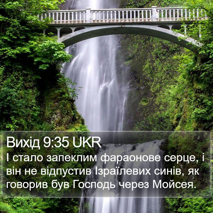 Вихід 9:35 UKR Bible Study