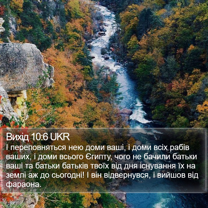 Вихід 10:6 UKR Bible Study