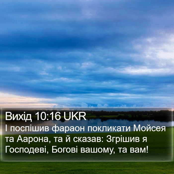 Вихід 10:16 UKR Bible Study