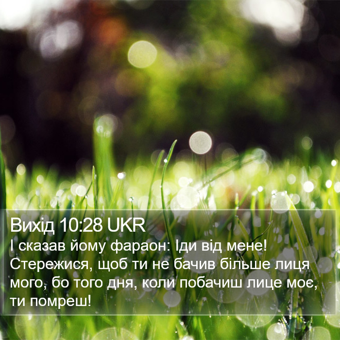 Вихід 10:28 UKR Bible Study