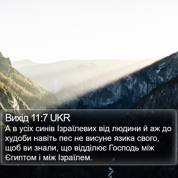 Вихід 11:7 UKR Bible Study