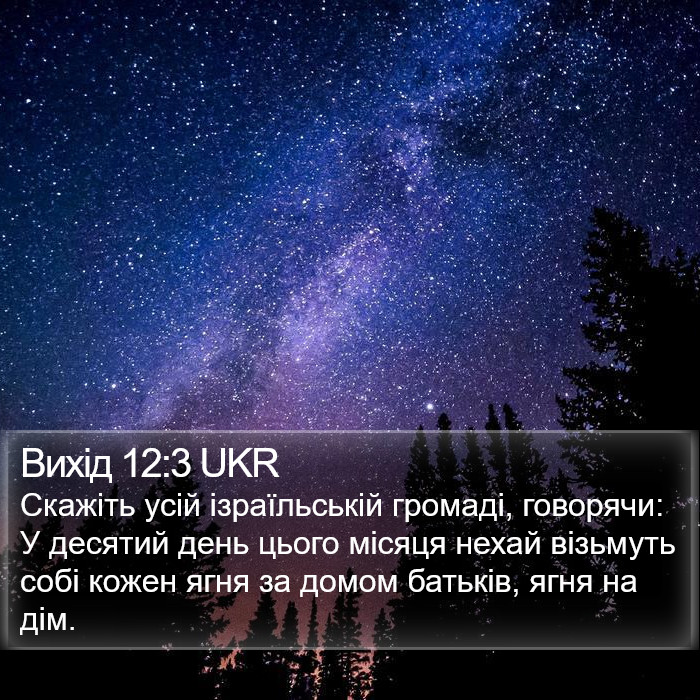 Вихід 12:3 UKR Bible Study