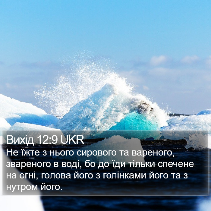 Вихід 12:9 UKR Bible Study