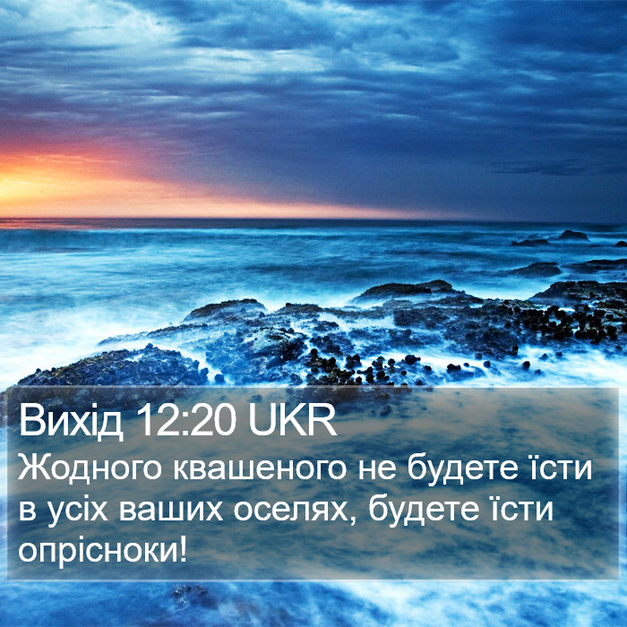 Вихід 12:20 UKR Bible Study