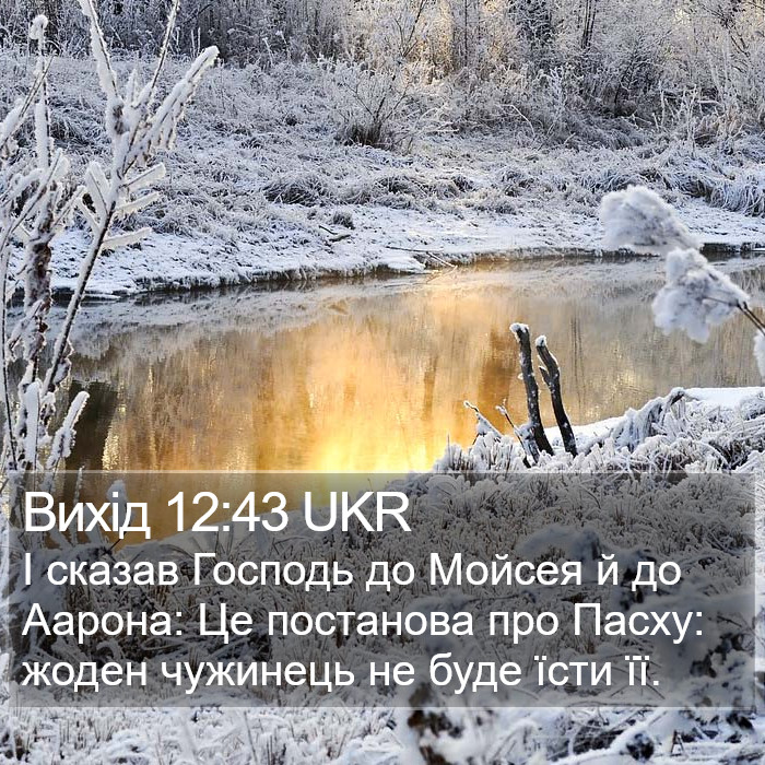 Вихід 12:43 UKR Bible Study