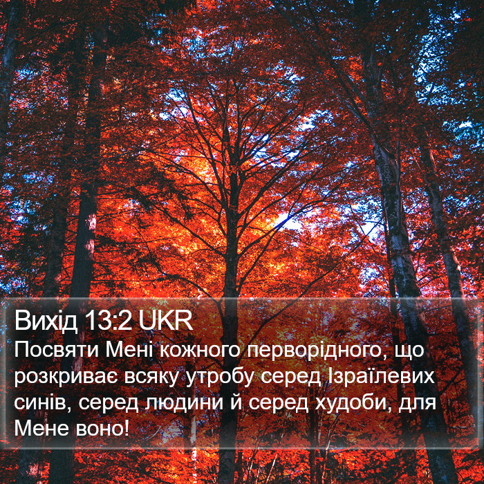 Вихід 13:2 UKR Bible Study