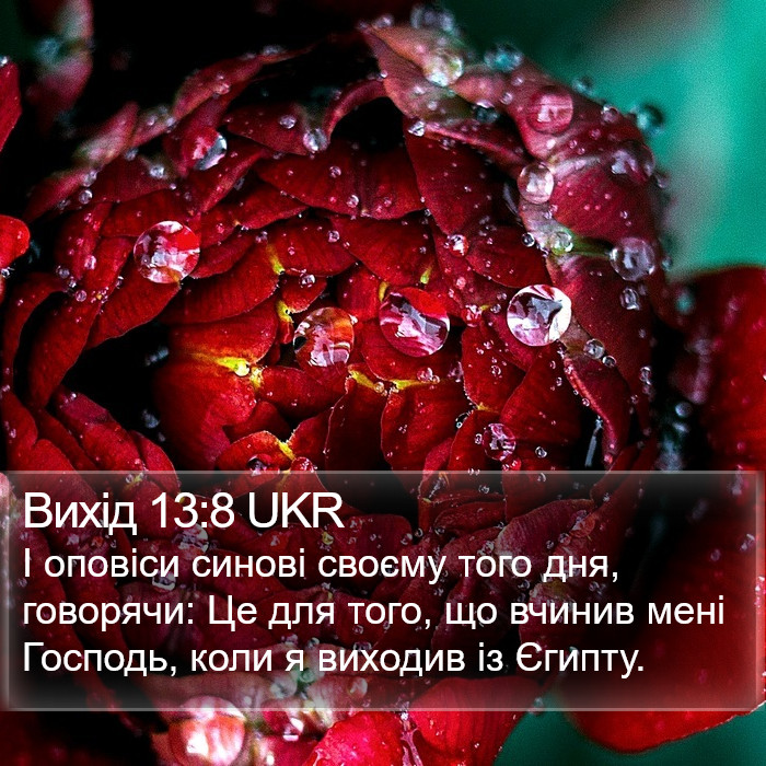 Вихід 13:8 UKR Bible Study