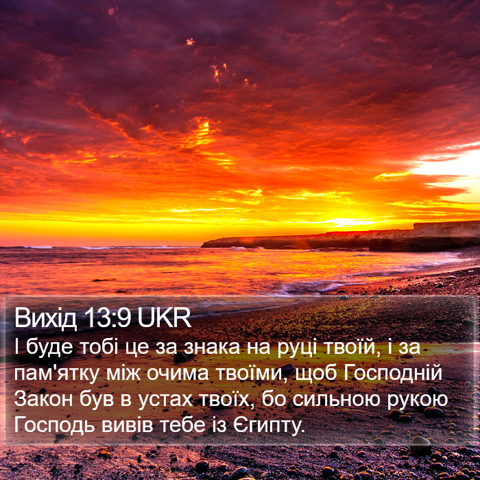 Вихід 13:9 UKR Bible Study