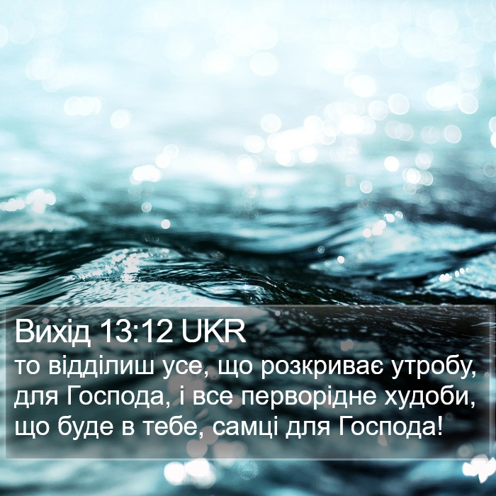 Вихід 13:12 UKR Bible Study