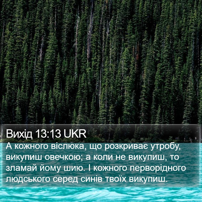 Вихід 13:13 UKR Bible Study