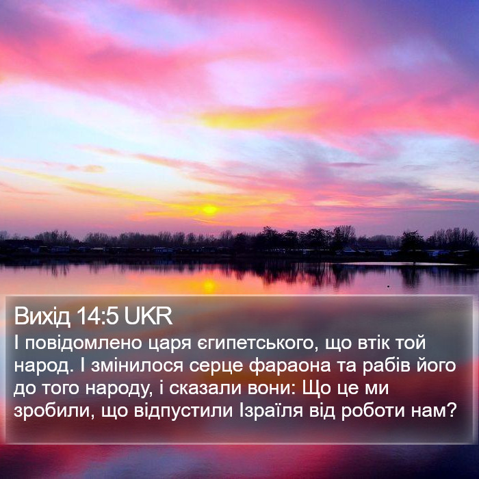 Вихід 14:5 UKR Bible Study