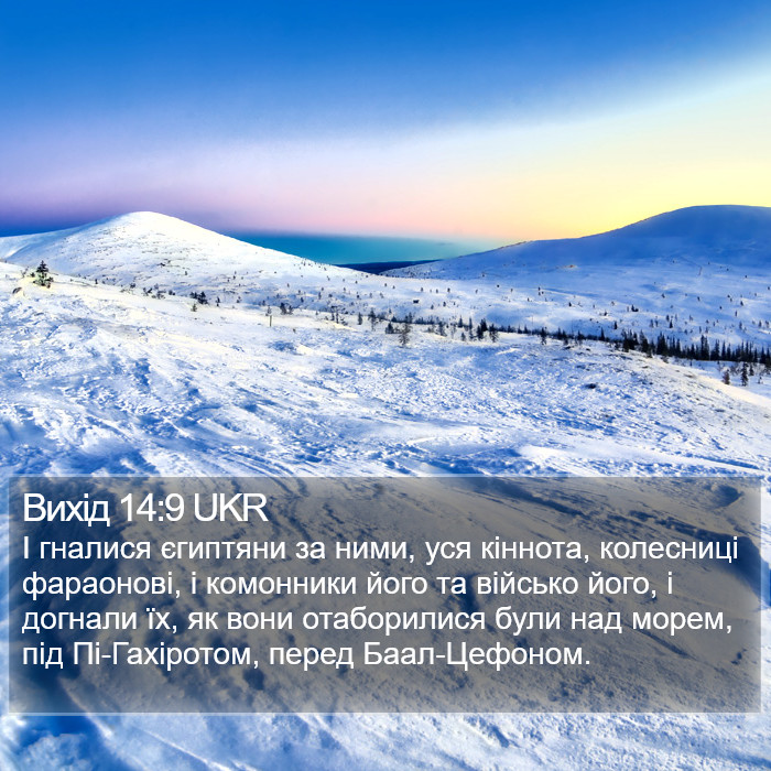 Вихід 14:9 UKR Bible Study