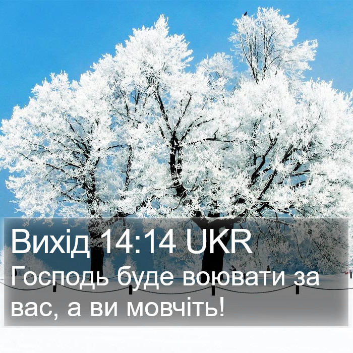 Вихід 14:14 UKR Bible Study