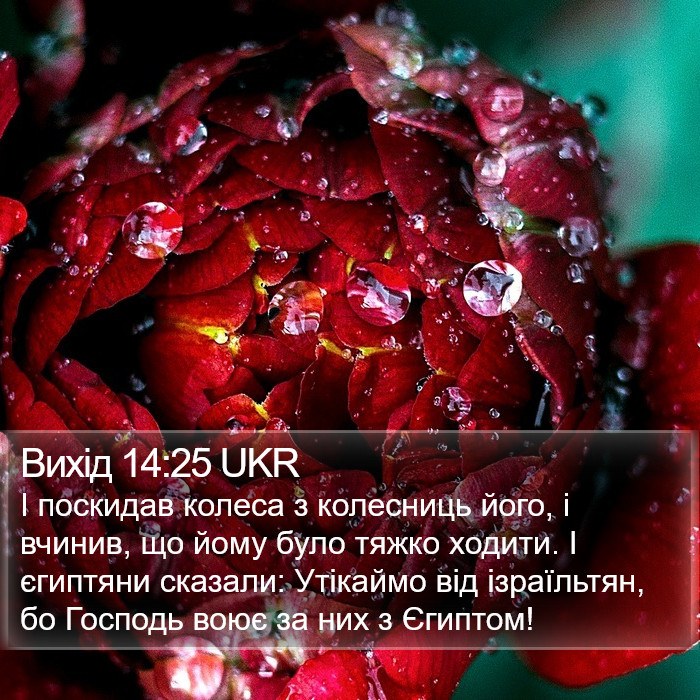 Вихід 14:25 UKR Bible Study
