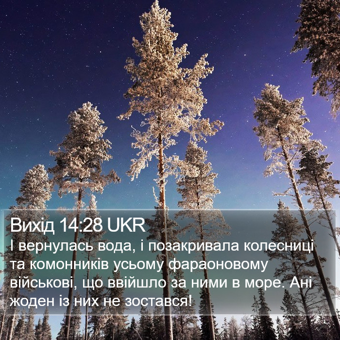 Вихід 14:28 UKR Bible Study