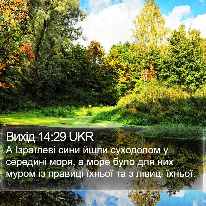 Вихід 14:29 UKR Bible Study