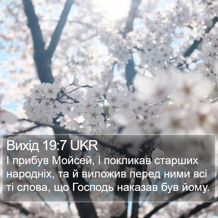 Вихід 19:7 UKR Bible Study