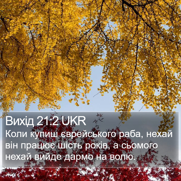 Вихід 21:2 UKR Bible Study