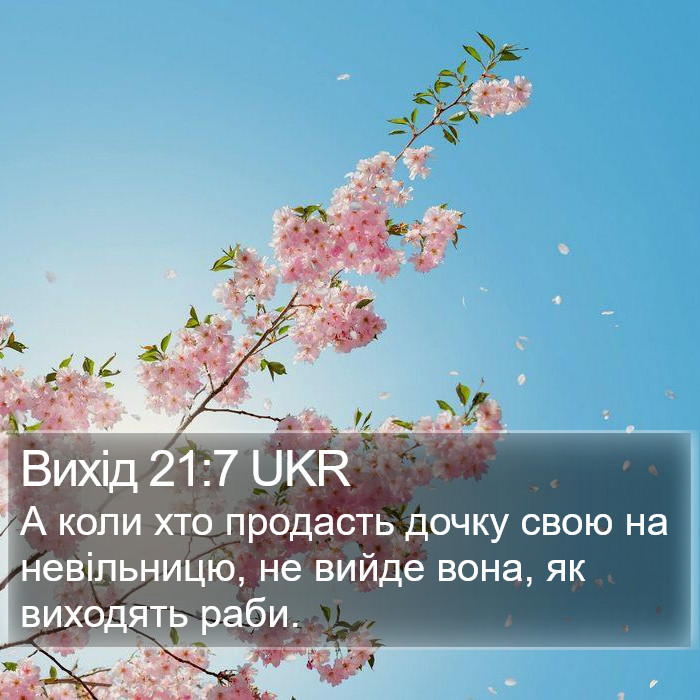 Вихід 21:7 UKR Bible Study