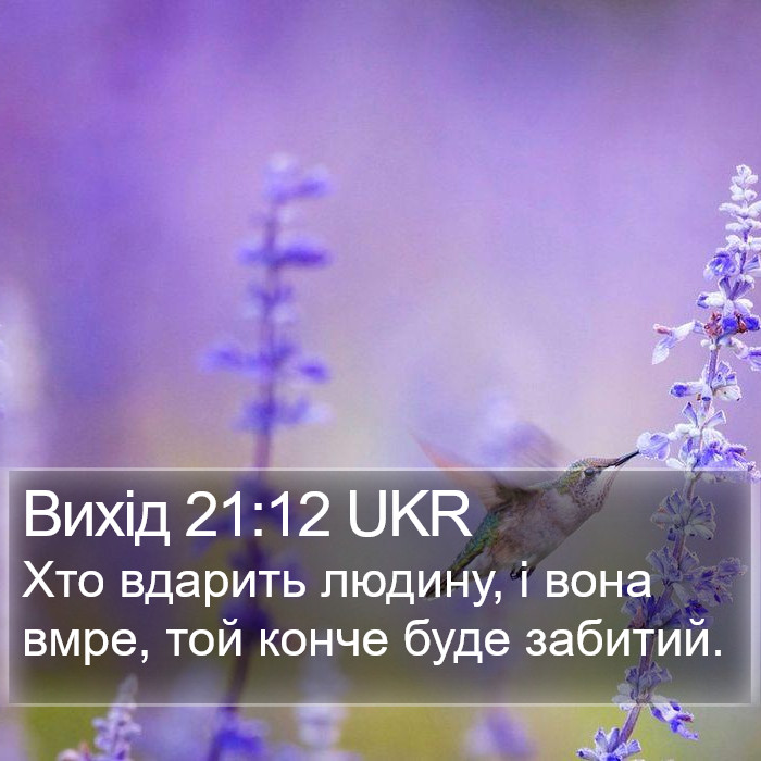 Вихід 21:12 UKR Bible Study