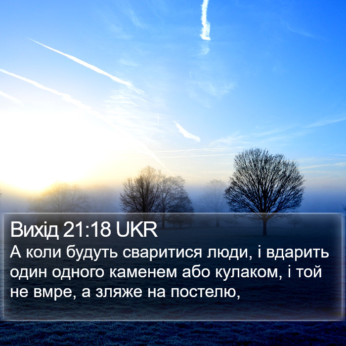 Вихід 21:18 UKR Bible Study