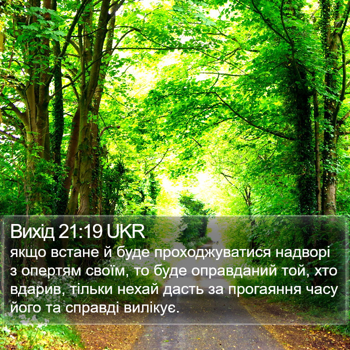 Вихід 21:19 UKR Bible Study