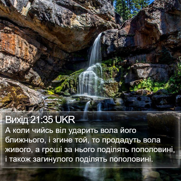 Вихід 21:35 UKR Bible Study