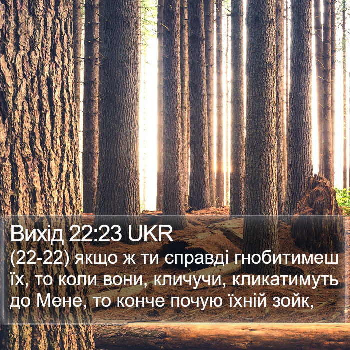Вихід 22:23 UKR Bible Study