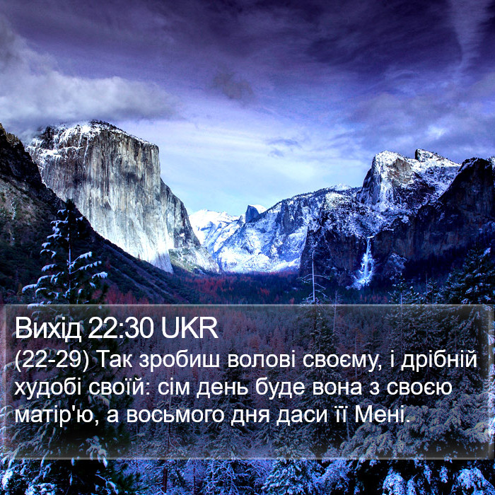Вихід 22:30 UKR Bible Study