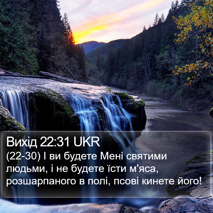 Вихід 22:31 UKR Bible Study