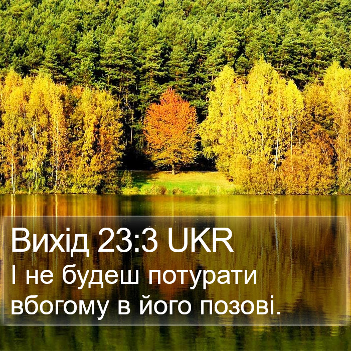 Вихід 23:3 UKR Bible Study