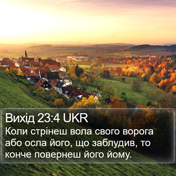 Вихід 23:4 UKR Bible Study