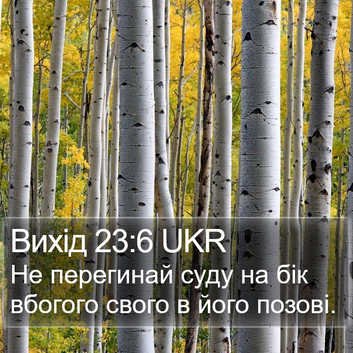 Вихід 23:6 UKR Bible Study