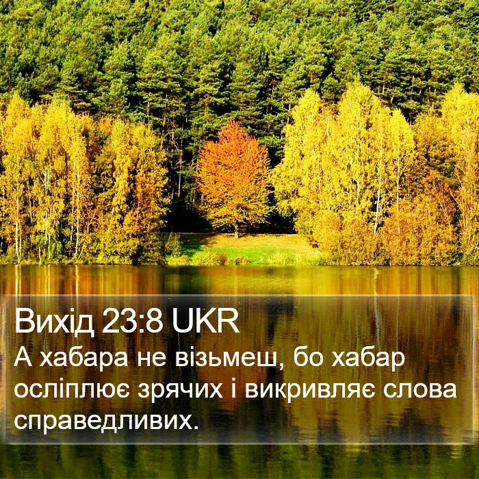 Вихід 23:8 UKR Bible Study