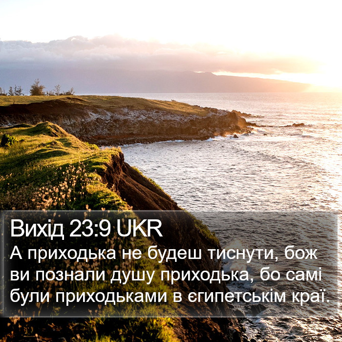 Вихід 23:9 UKR Bible Study