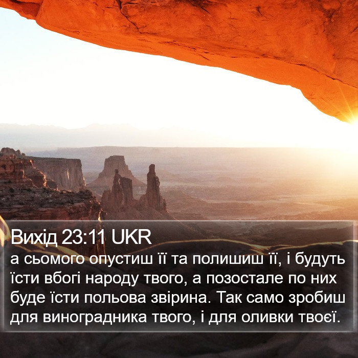 Вихід 23:11 UKR Bible Study