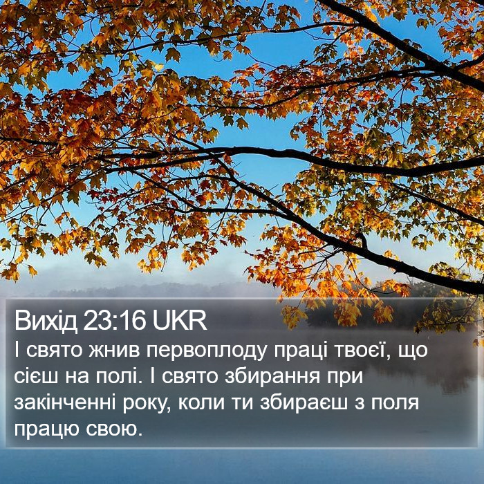Вихід 23:16 UKR Bible Study