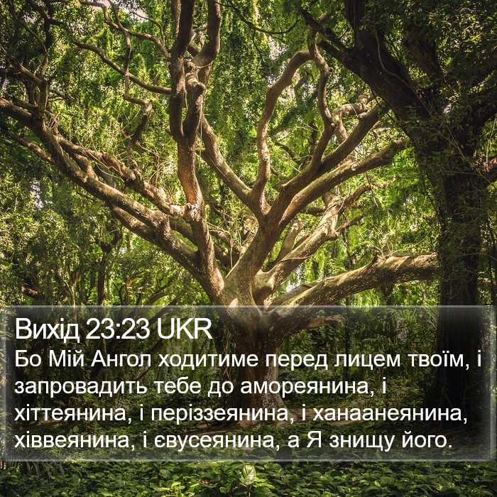 Вихід 23:23 UKR Bible Study