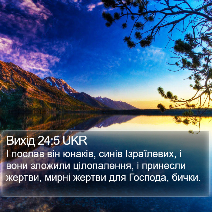 Вихід 24:5 UKR Bible Study