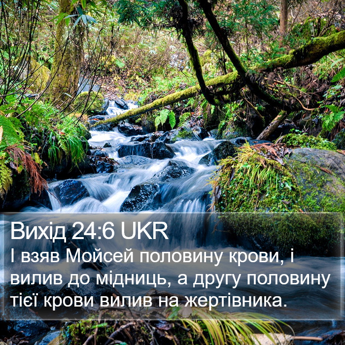 Вихід 24:6 UKR Bible Study