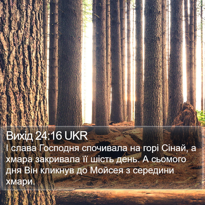 Вихід 24:16 UKR Bible Study