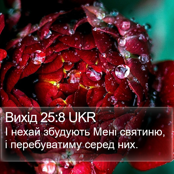 Вихід 25:8 UKR Bible Study