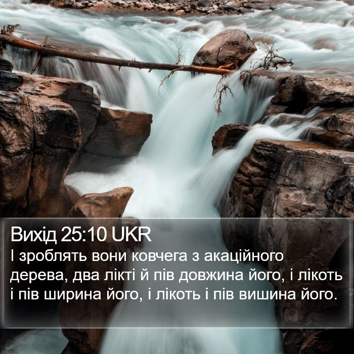 Вихід 25:10 UKR Bible Study