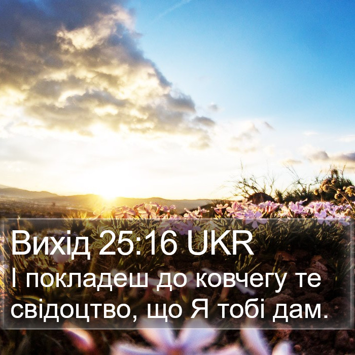 Вихід 25:16 UKR Bible Study