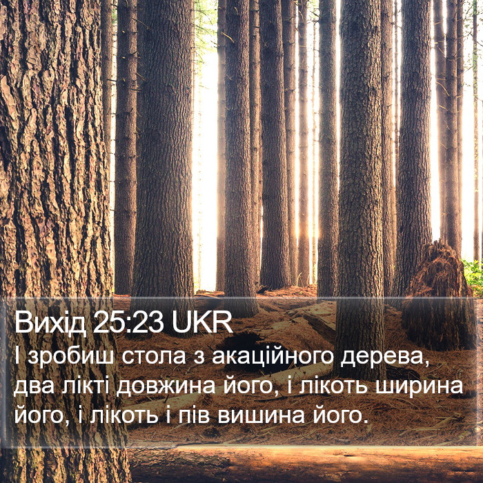 Вихід 25:23 UKR Bible Study