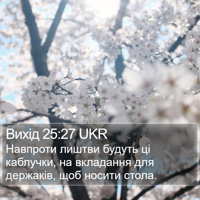 Вихід 25:27 UKR Bible Study