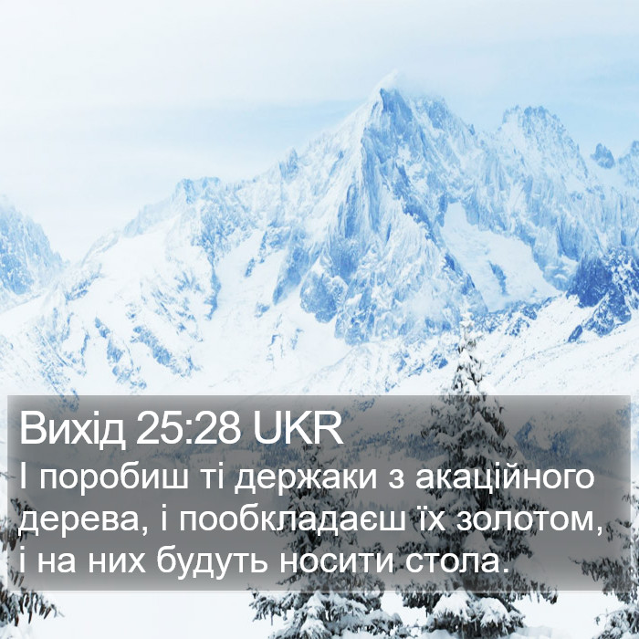 Вихід 25:28 UKR Bible Study