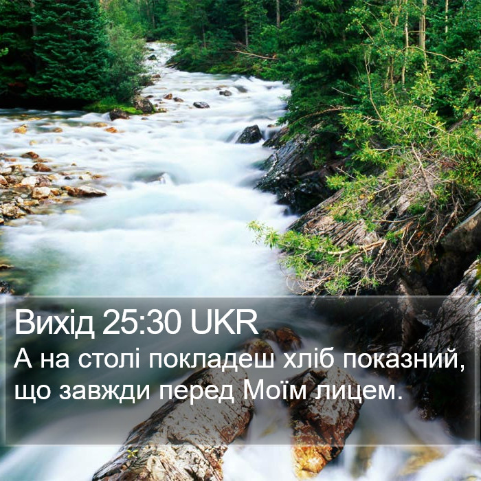 Вихід 25:30 UKR Bible Study