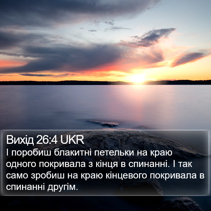 Вихід 26:4 UKR Bible Study