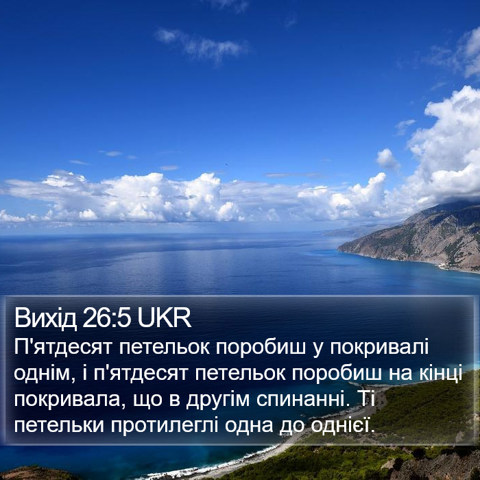 Вихід 26:5 UKR Bible Study